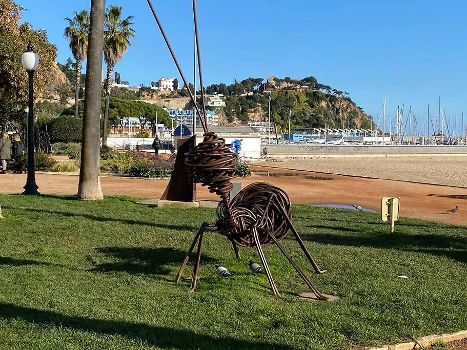 Apartamento Vela Blanes 0*,